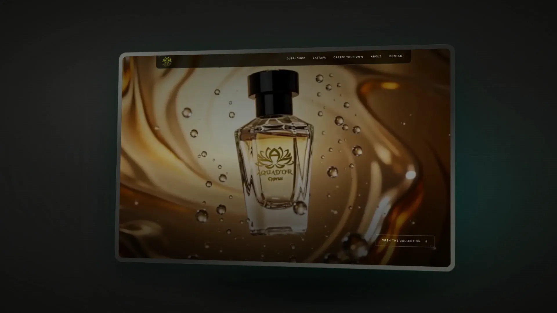 Aquador, project interface