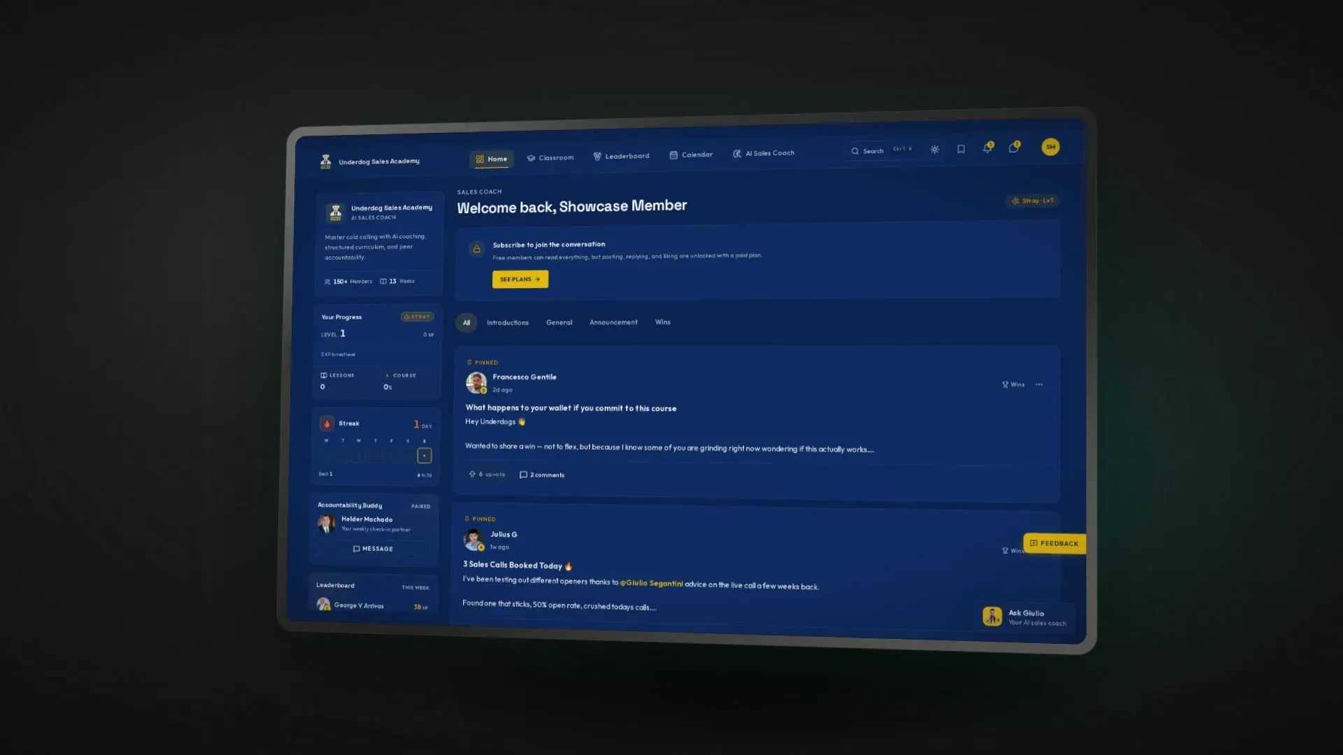 Underdog Sales Academy, project interface